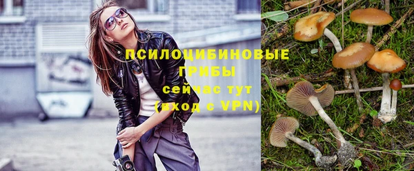 молекула духа Киреевск