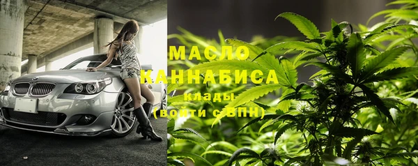 молекула духа Киреевск