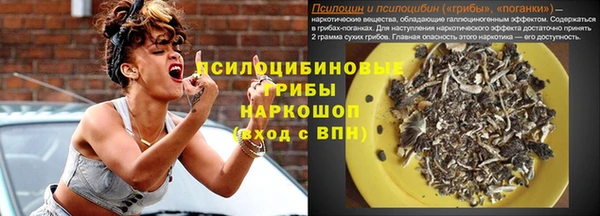 молекула духа Киреевск