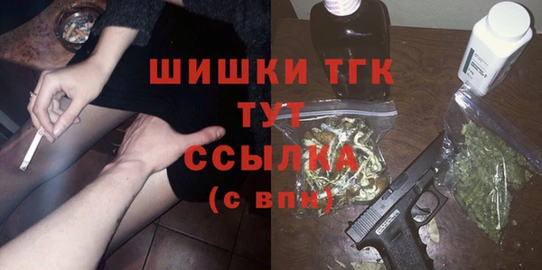 молекула духа Киреевск