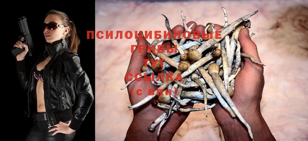 стафф Киренск