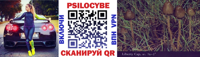 Купить  Циолковский  Галлюциногенные грибы мицелий 